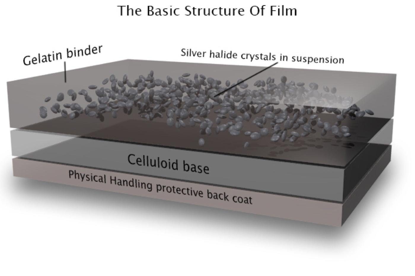 THE STRUCTURE OF FILM: A GELATIN EMULSION HOLDING SILVER-HALIDE CRYSTALS, COATED ON THE BASE. DIAGRAM: VIA NEILOSEMAN.COM.